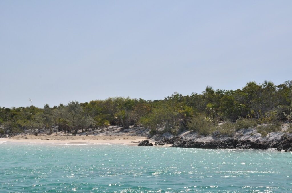 Découvrir Iguana Island