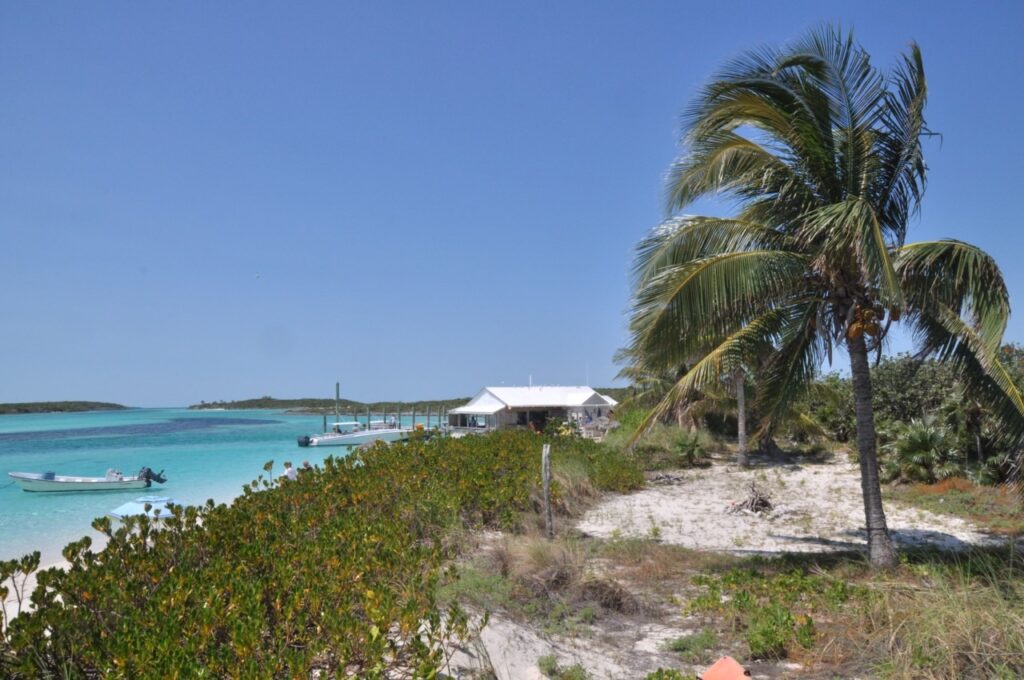 Découvrir les rares endroits d'ombre de l'île