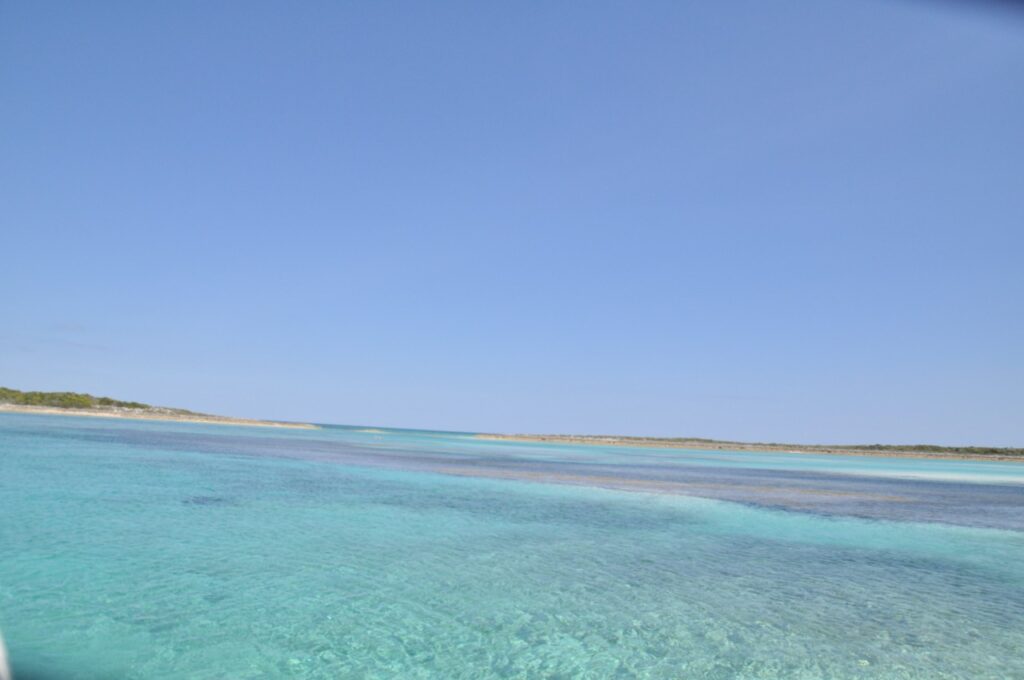 Quitter Paradise Island