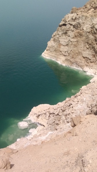 Movenpick Mer morte : Découverte Hôtel Spa Jordanie