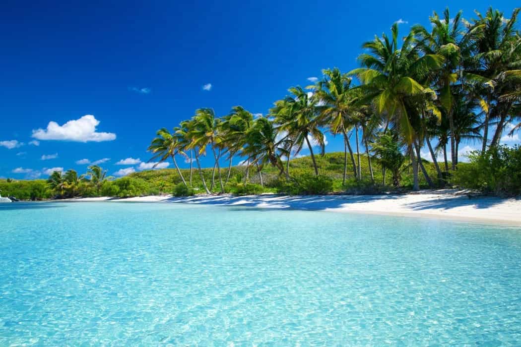 Voyage en Martinique : comment préparer son séjour ?