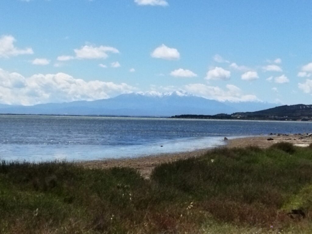 Vue sur le Mont Canigou depuis l'étang de Salses-Leucate, Aude