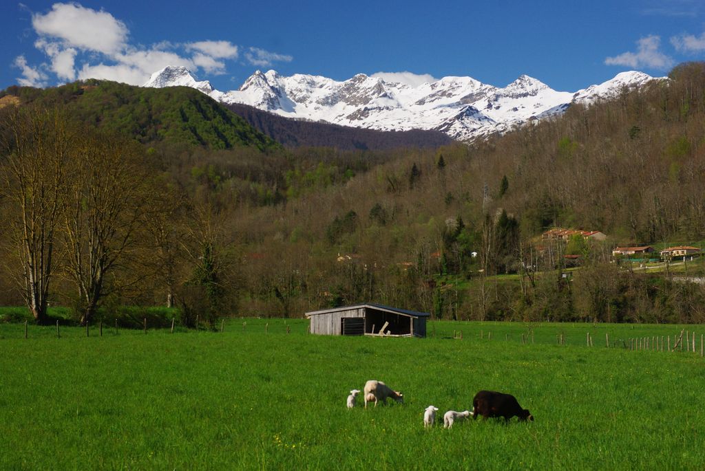 Roadtrip en Ariège, terre sauvage protégée CP : Pierre Goujot