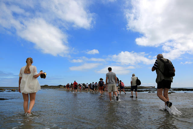 Les festivaliers rejoignent toujours l'île à marée descendante