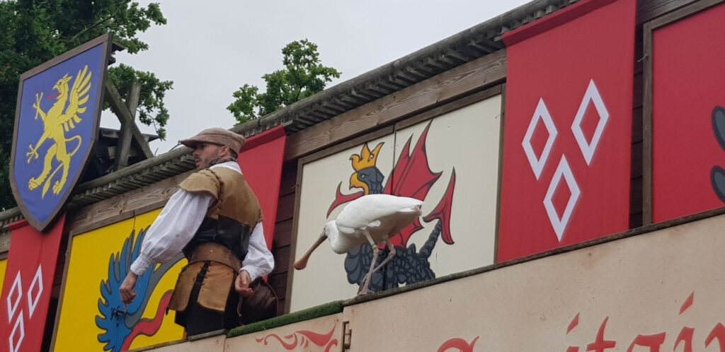 Un spectacle avec des animaux et vautours