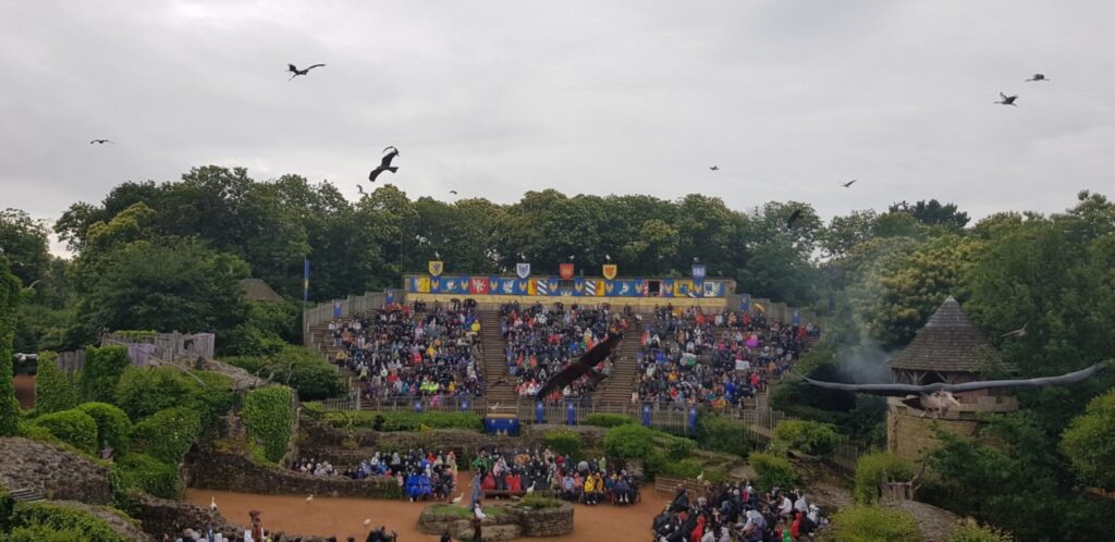 Les vautours font le show au Puy du Fou