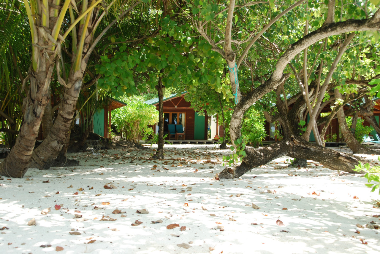 plages maldives : le paradis paisible pour les voyageurs