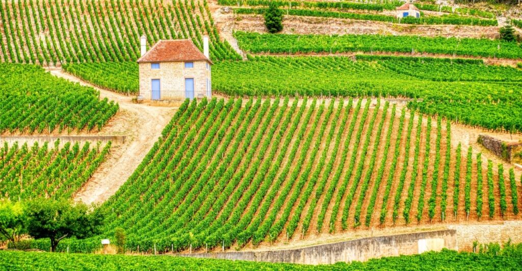 Top 10 des régions d'Europe pour les amateurs de vin CP : Holidu