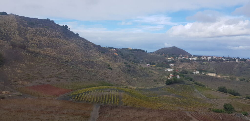 Vallée verdoyante