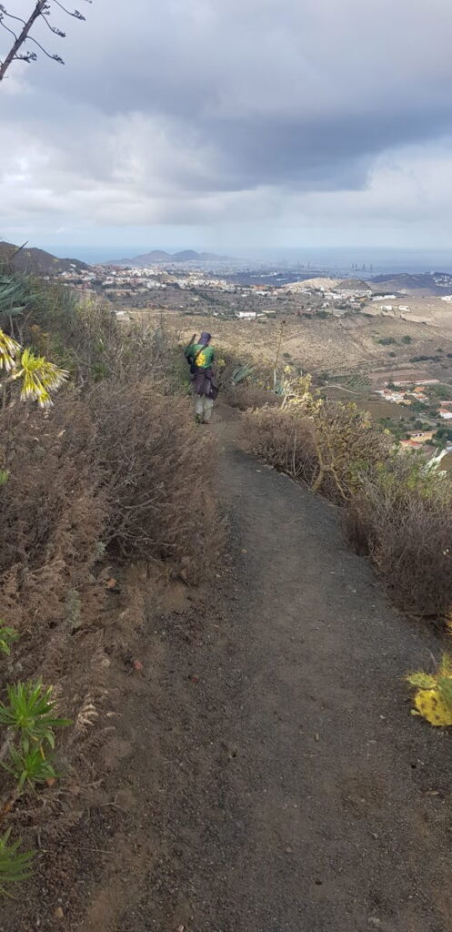 Chemin de randonnée
