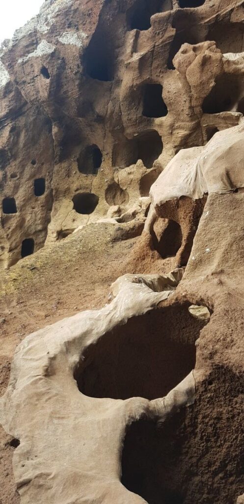 Troglodyte