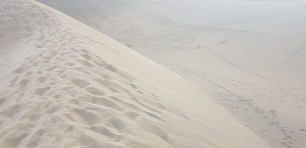 Dune de sable dans le désert de la côte
