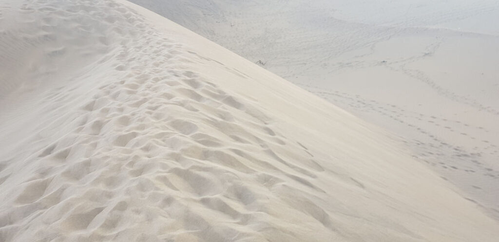 En haut d'une dune