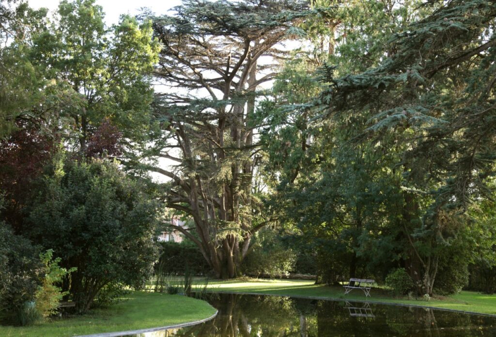 Parc arboré
