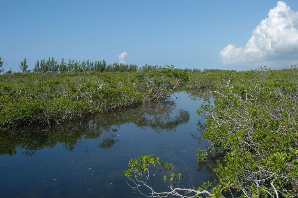 Lucayan Park