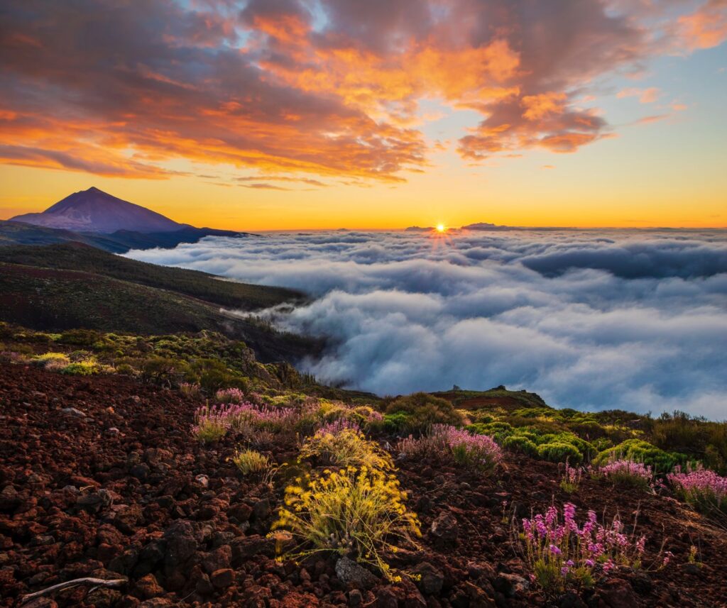 Teide