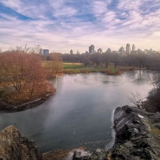 Central Park