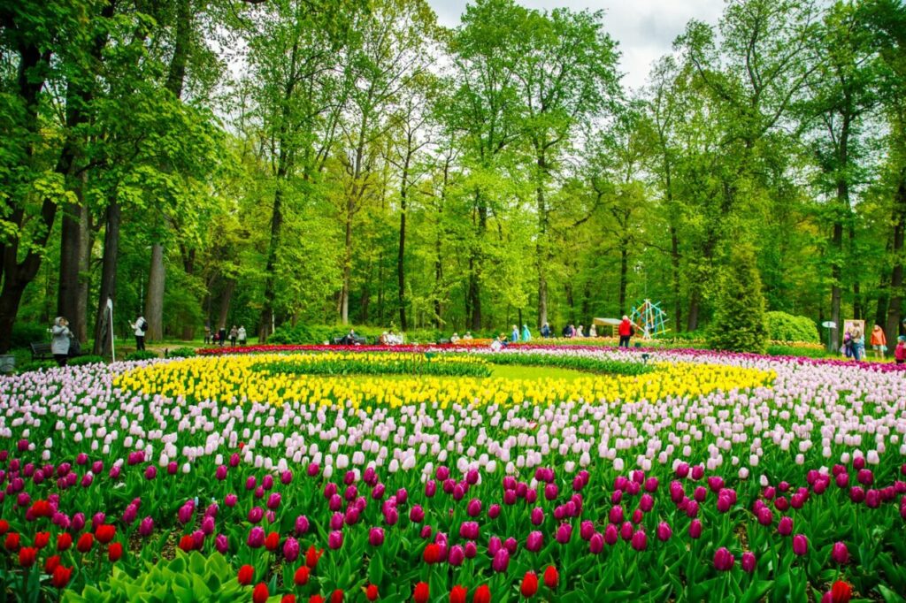 Parc de Keukenhof, situé aux Pays-Bas