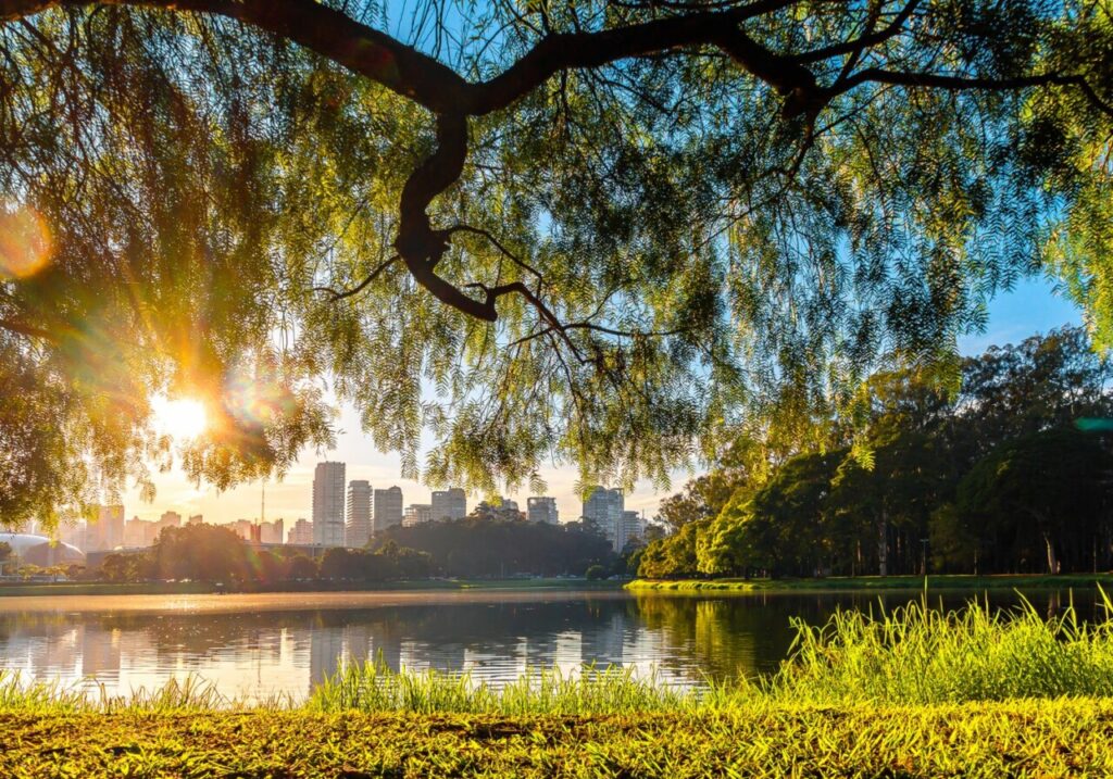 Parque do Ibirapuera, São Paulo