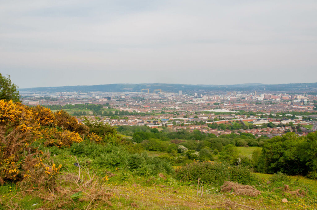 Vue sur Belfast