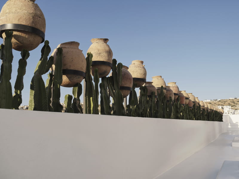 Décor naturel avec des jarres en terre cuite
