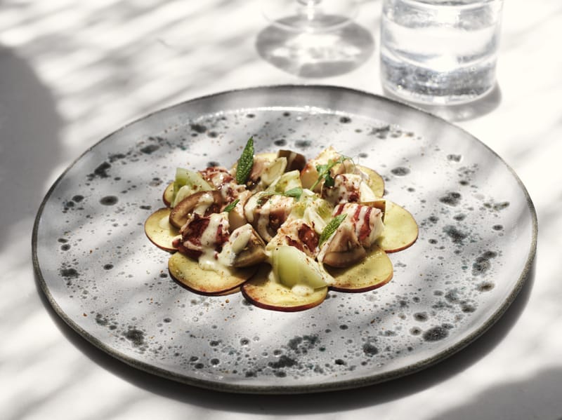 Des plats construits