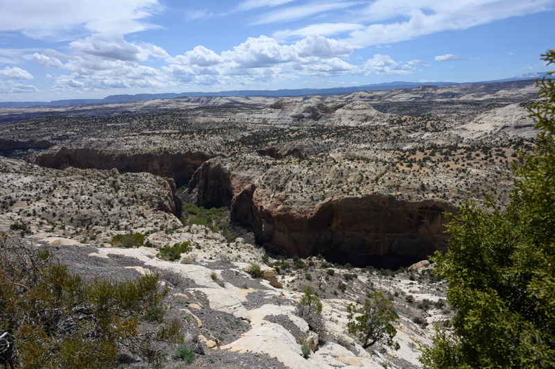 Le canyon visible sur la scénic drive