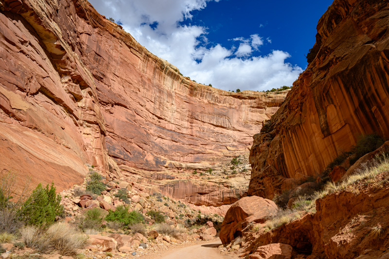 Dans le canyon de Capitol Reef