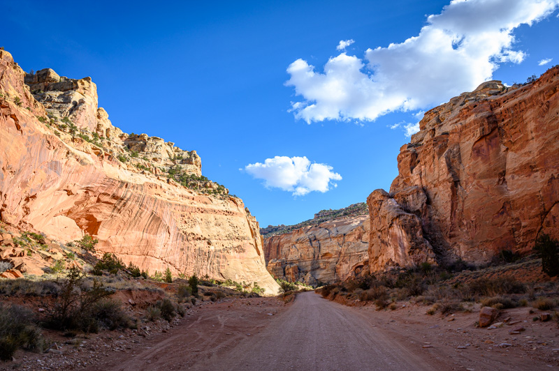 Capitol reef est accessible en voiture dans le canyon
