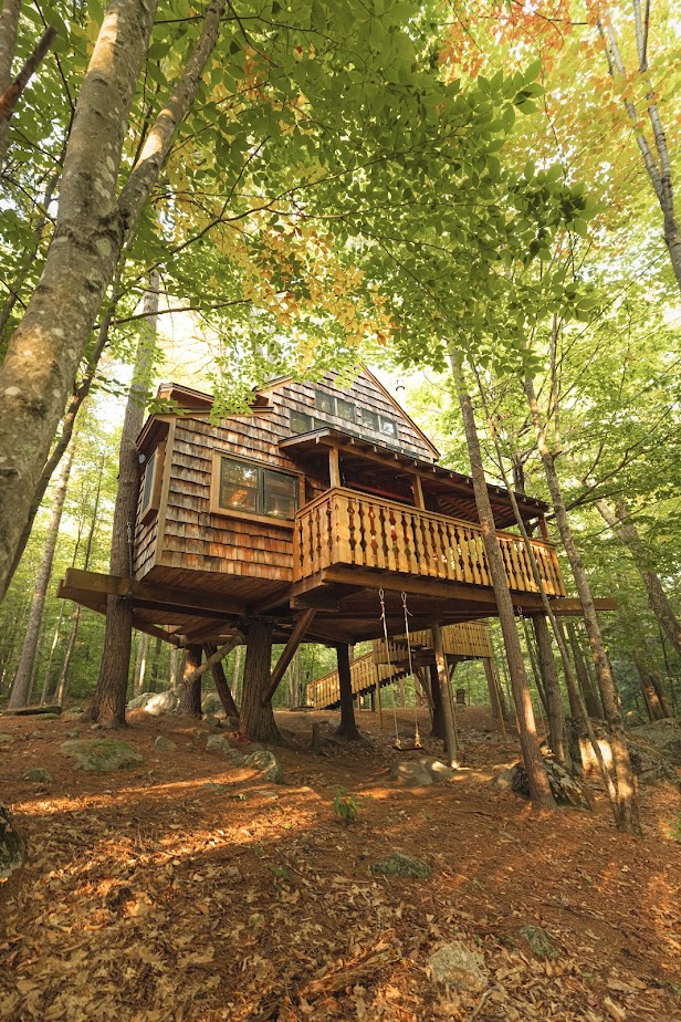 cabane en bois