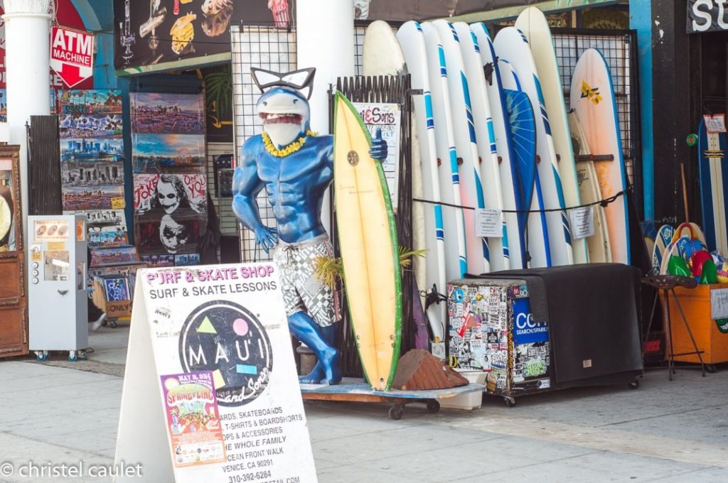 Abbot Kinney Boulevard boutiques Venice Beach Los Angeles