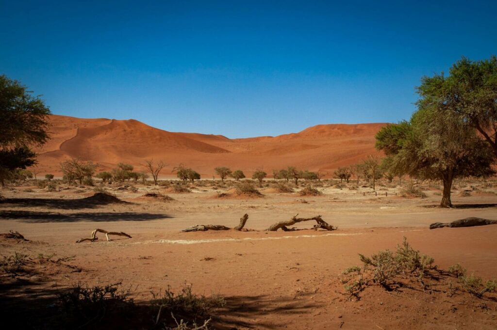 Paysage aride