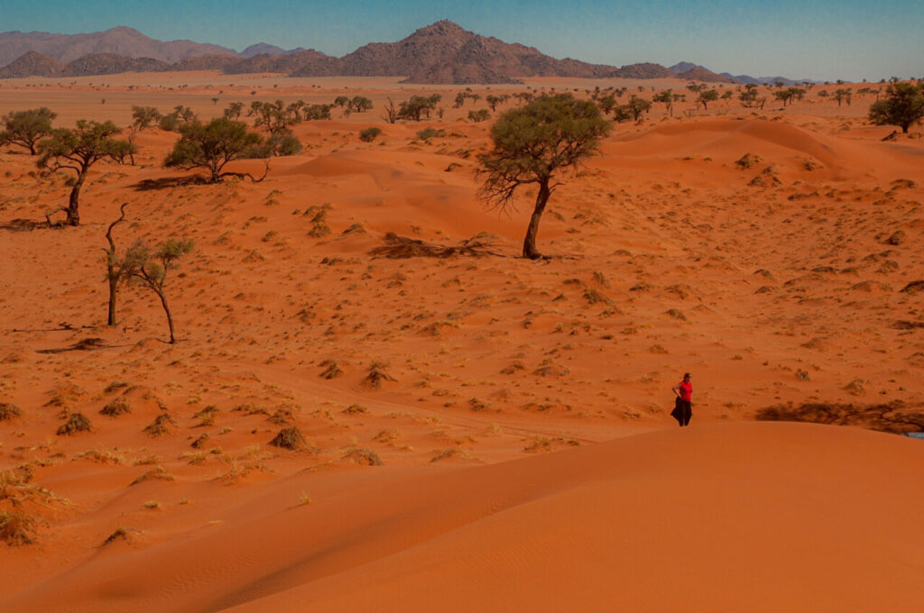 Grimper les dunes de sossusvlei