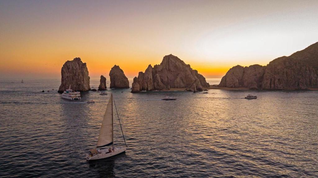 visite de îles de los cabos