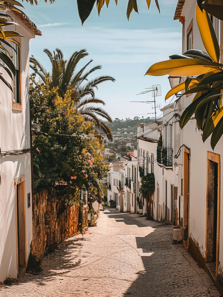 Lagos ruelle