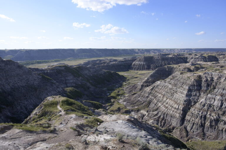 fossiles dinosaures Canada