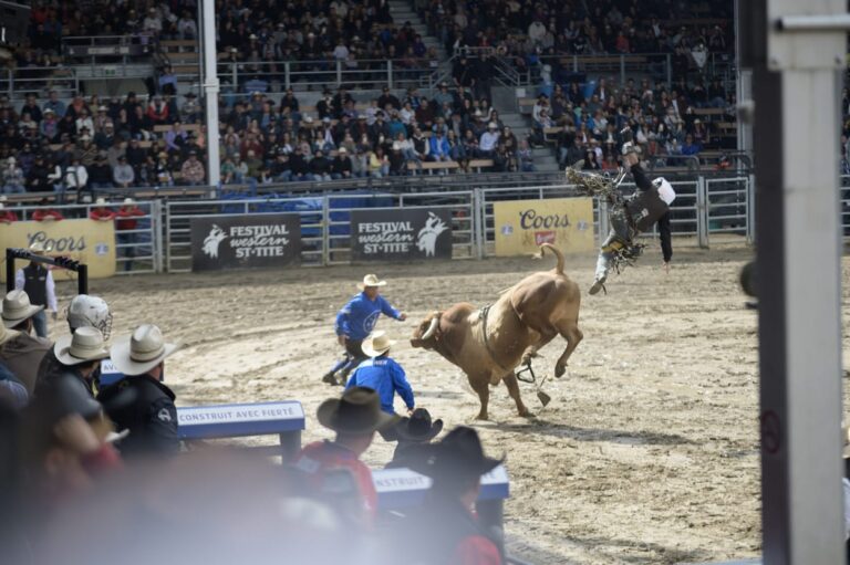 Chute avec les taureaux