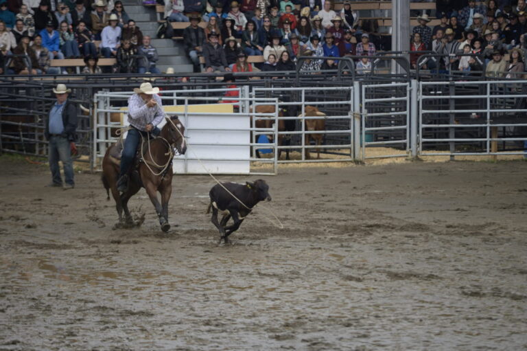Spectacle de western