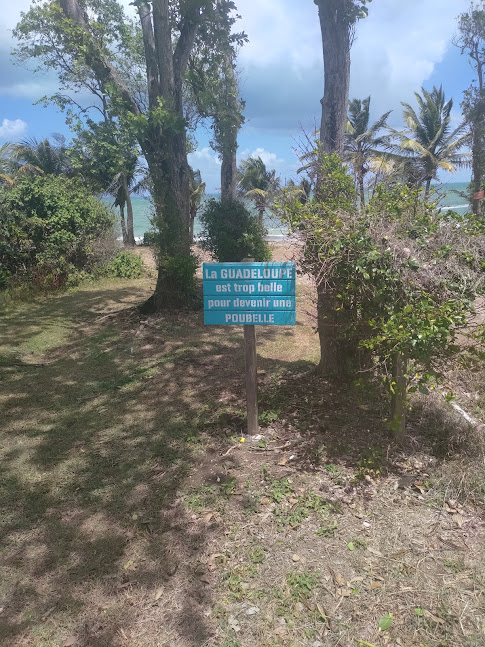 marché local sainte-anne guadeloupe épices créoles rhum arrangé