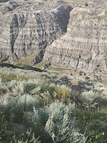 parc dinosaures badlands