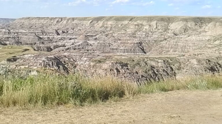 parc des dinosaures dans les badlands