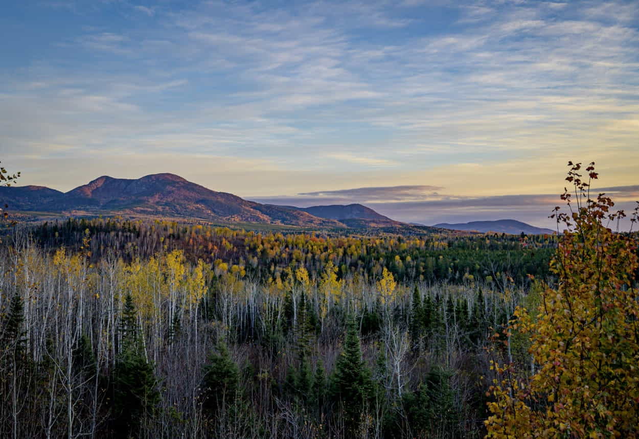 Visiter Charlevoix Québec, le joyau naturel du Québec