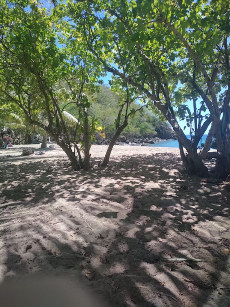 excursion en mer sainte-anne guadeloupe bateau lagon turquoise