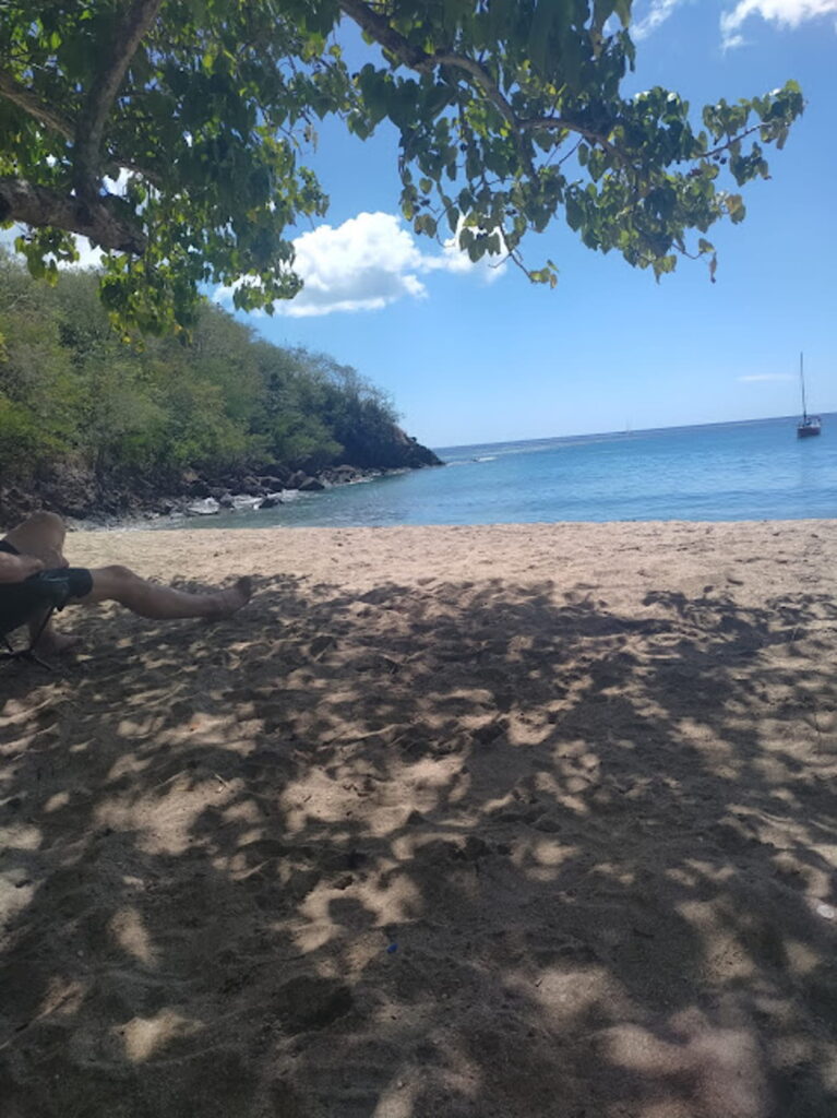 plage de la caravelle sainte-anne guadeloupe sable blond snorkeling