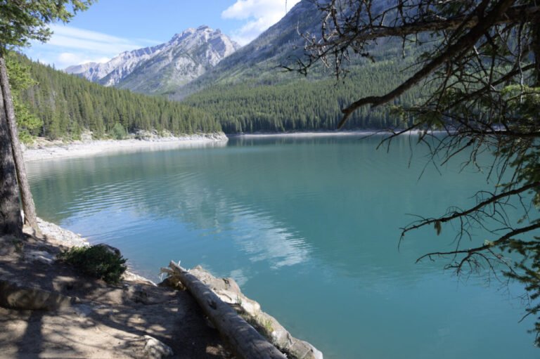 arrêt sur la route de Calgary à Banff