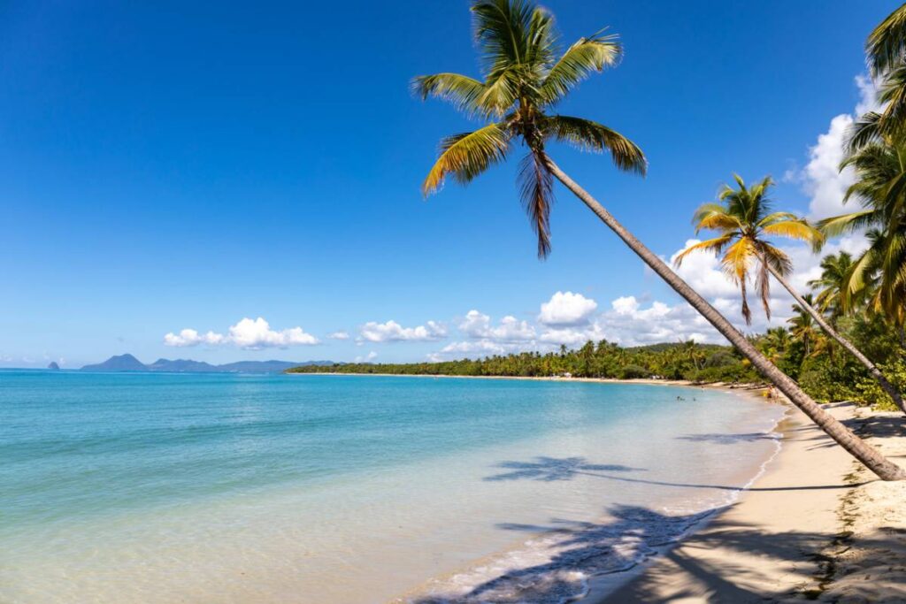 vacances en martinique que faire pour un voyage inoubliable