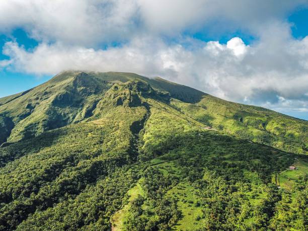 Vacances en Martinique : que faire pour un voyage inoubliable ?