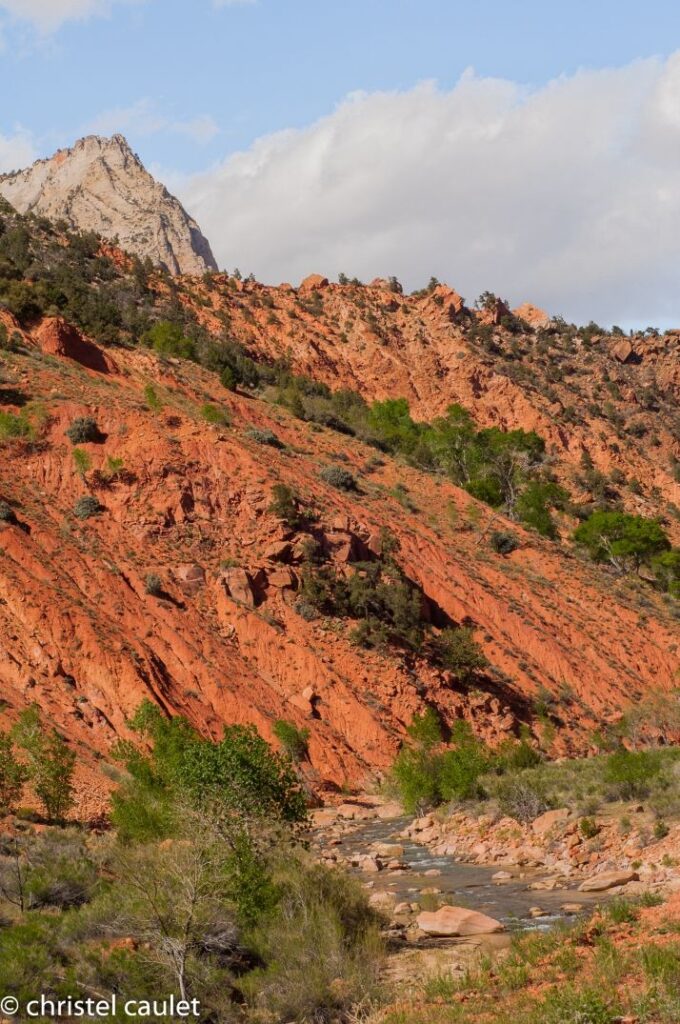 Sentier de randonnée dans le parc national de Zion