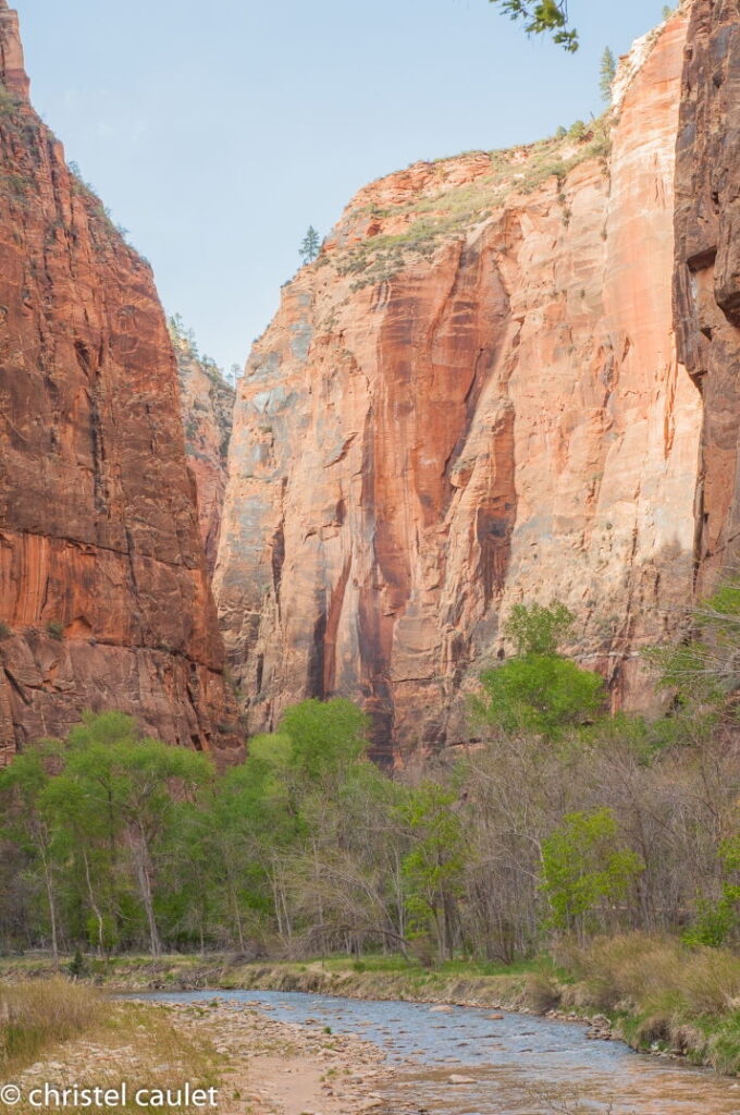 Exploration des gorges du parc national de Zion