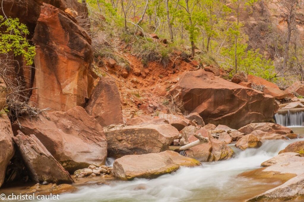 Paysage du parc national de Zion lors d'un road-trip aux USA